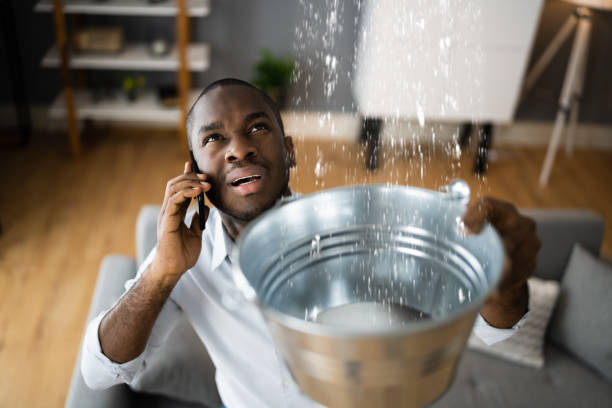 Best Residential water damage restoration  in Harlem Heights, FL