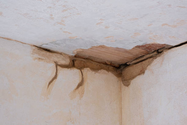 Professional Water damage restoration in Harlem Heights, FL