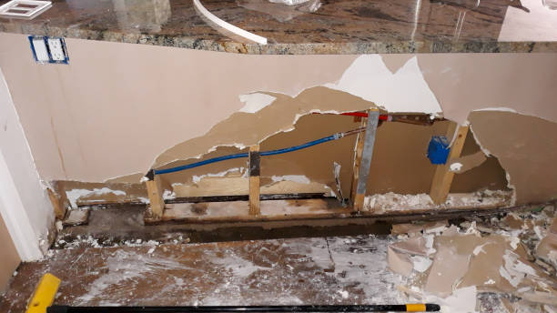 Best Sewage cleanup and water damage restoration  in Harlem Heights, FL