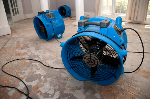 Best Ceiling water damage repair  in Harlem Heights, FL