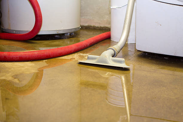 Best Ceiling water damage repair  in Harlem Heights, FL