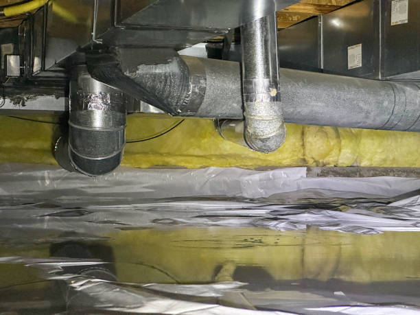 Best Basement water damage restoration  in Harlem Heights, FL