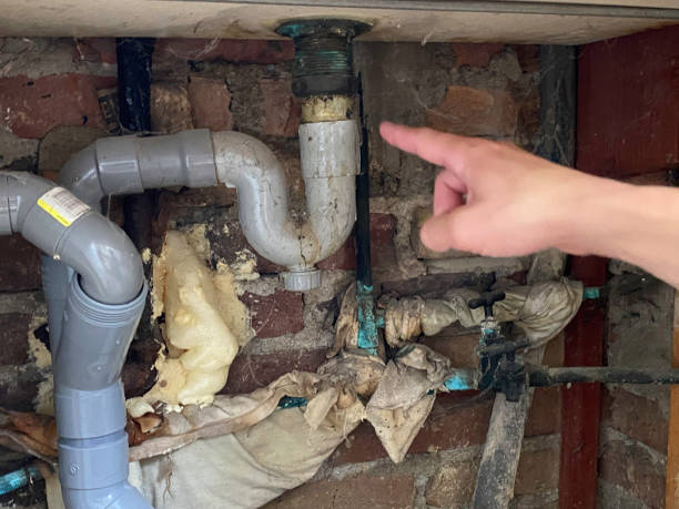Best Local water damage restoration  in Harlem Heights, FL