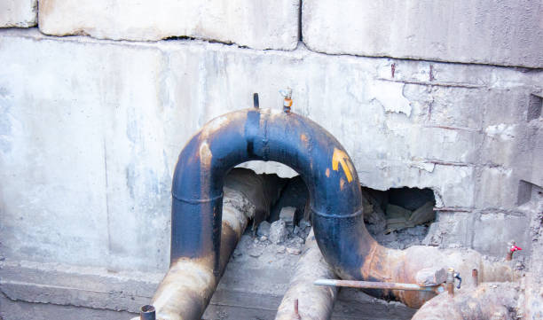 Best Water damage restoration cost  in Harlem Heights, FL