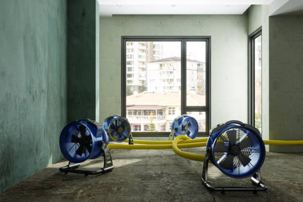Local water damage restoration in Harlem Heights, FL