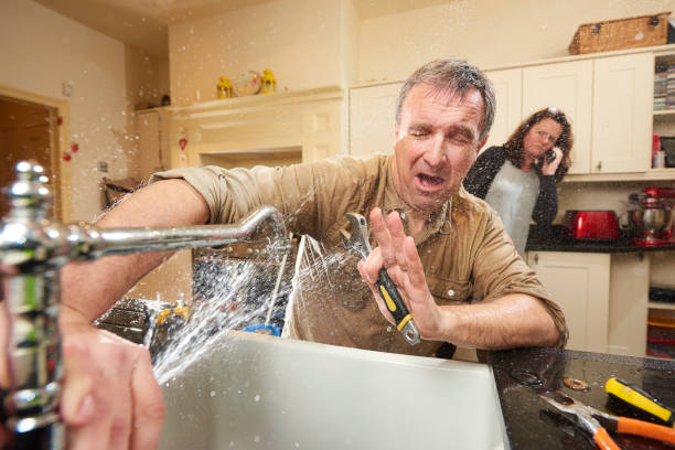 Best Commercial water damage restoration  in Harlem Heights, FL